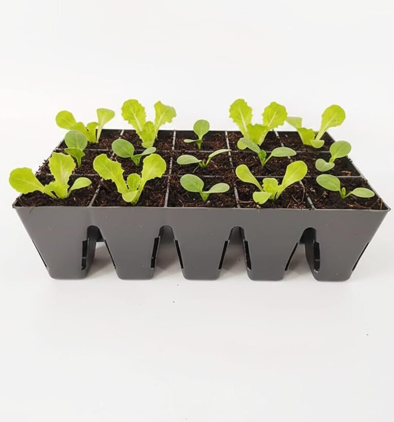 Seedling Tray for Germination and Seedling, Saffron Grow Tray, 15 Cells/pots | Pack of 1 Tray | Reusable, Square, Black
