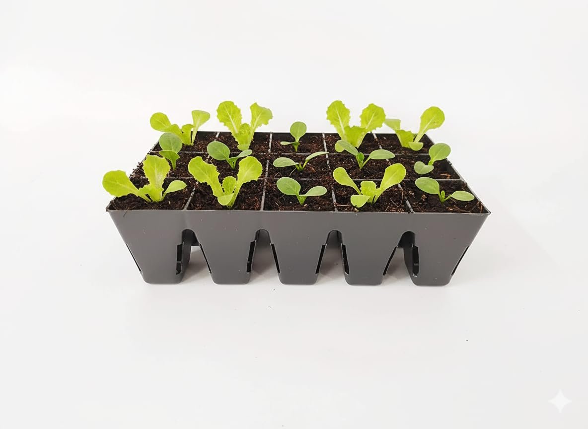 Seedling Tray for Germination and Seedling, Saffron Grow Tray, 15 Cells/pots | Pack of 1 Tray | Reusable, Square, Black