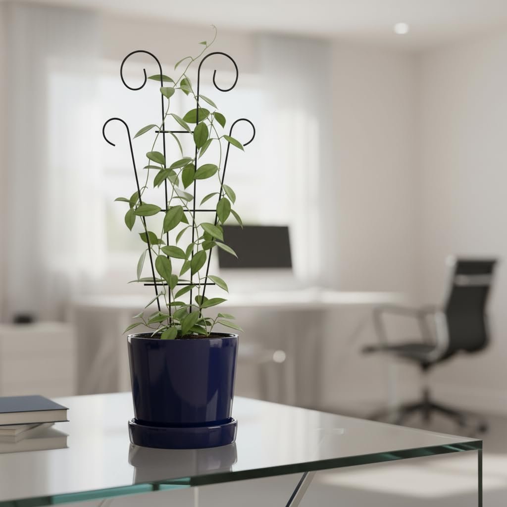 16 Inch Metal Climber Plant Support Stand | Garden Trellis for Indoor & Outdoor Plants | Decorative Plant Support for Balcony, Home, Office & Living Room Décor - Black (Small) - Image 7