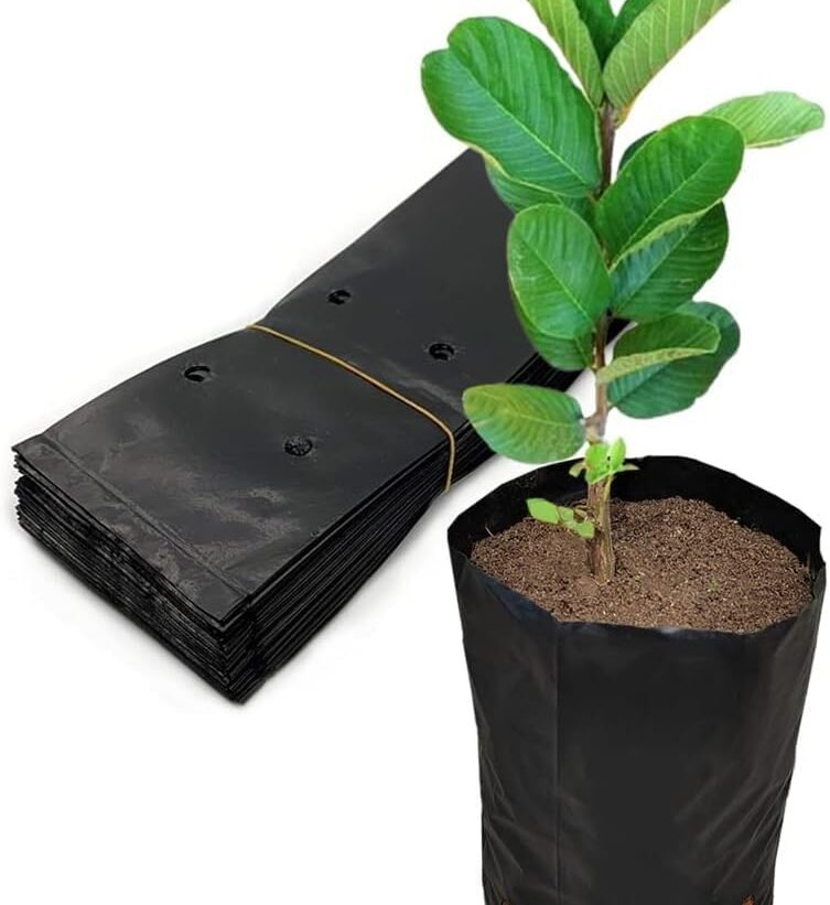 Plant Bags for Home Garden - (5 X 7 Inch) Poly Nursery Bags for Plants Specially Designed to Grow Bags for Leafy Vegetables, Fruit Seeds, Child Seeds & Much More (5 X 7 Inch - 125 Pack)