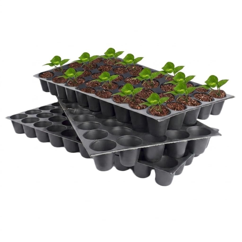 Reusable Seedling Tray - Pack of 3 (Black, 50 Holes/Tray) | Durable Plastic Germination Trays with Drainage Holes | Ideal for Seed Starting, Greenhouse, and Indoor Gardening