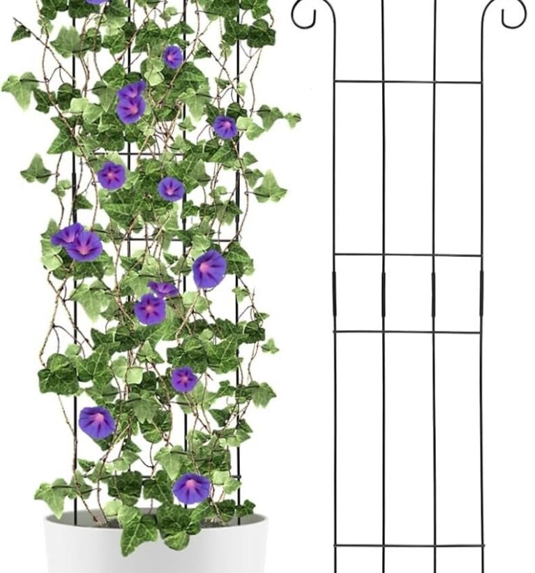 Garden Trellis for Climbing Plants Outdoor | Expandable Climbing Plant Supporter | Adjustable Balcony Privacy Trellis for Vine, Roses, and Vegetables (1)