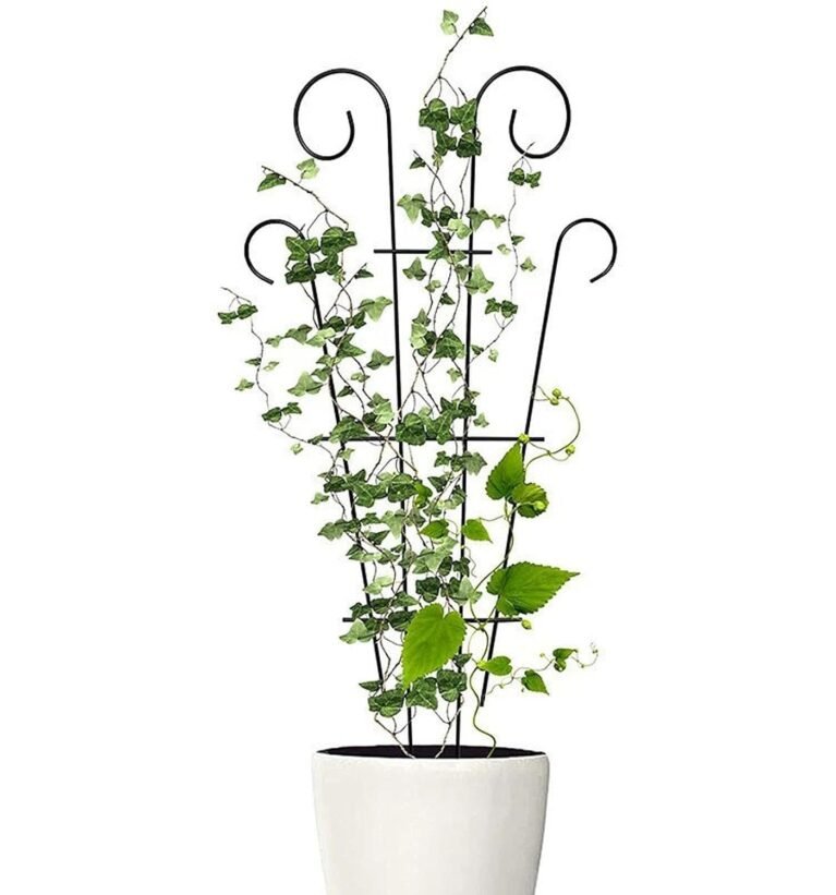 16 Inch Metal Climber Plant Support Stand | Garden Trellis for Indoor & Outdoor Plants | Decorative Plant Support for Balcony, Home, Office & Living Room Décor - Black (Small)