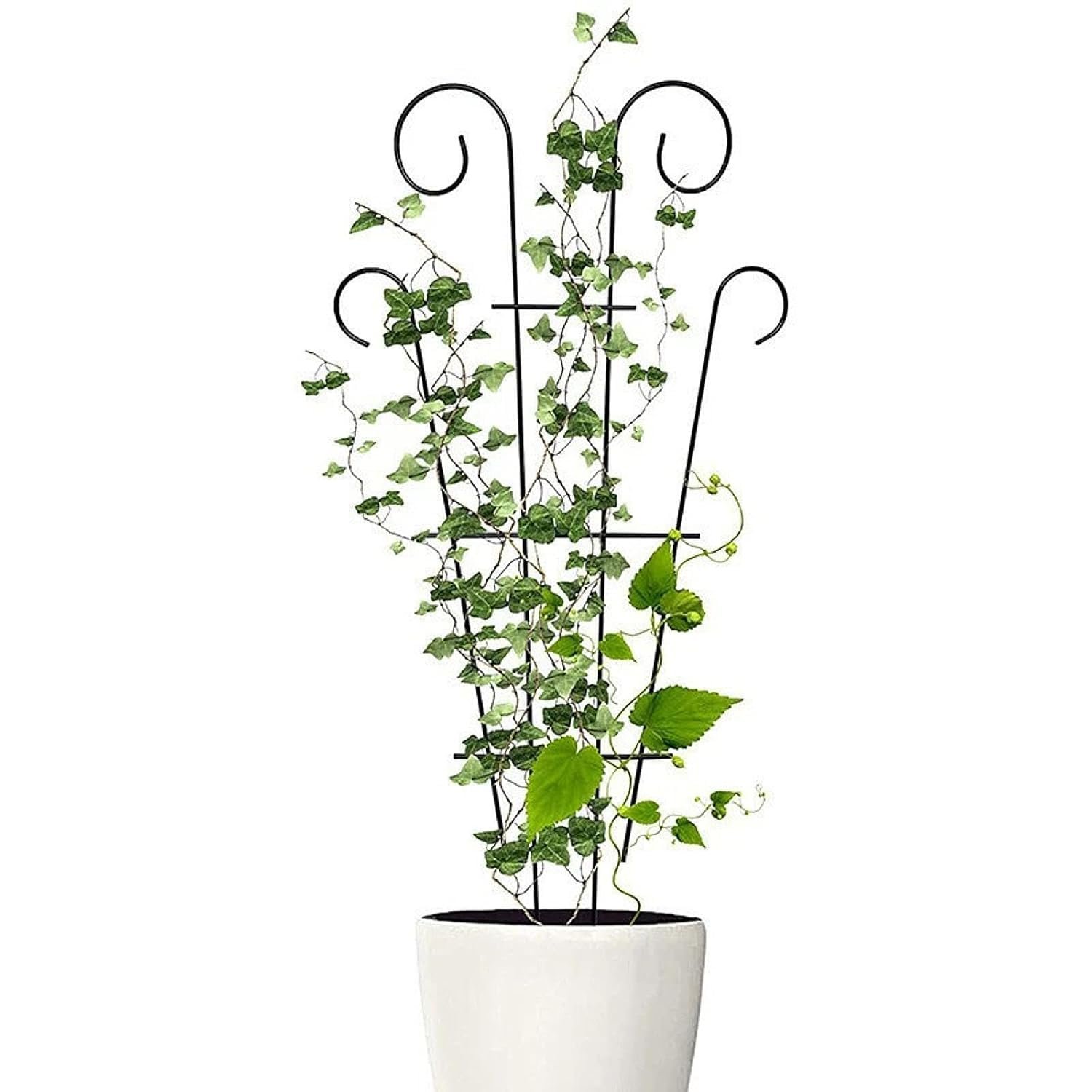 16 Inch Metal Climber Plant Support Stand | Garden Trellis for Indoor & Outdoor Plants | Decorative Plant Support for Balcony, Home, Office & Living Room Décor - Black (Small)