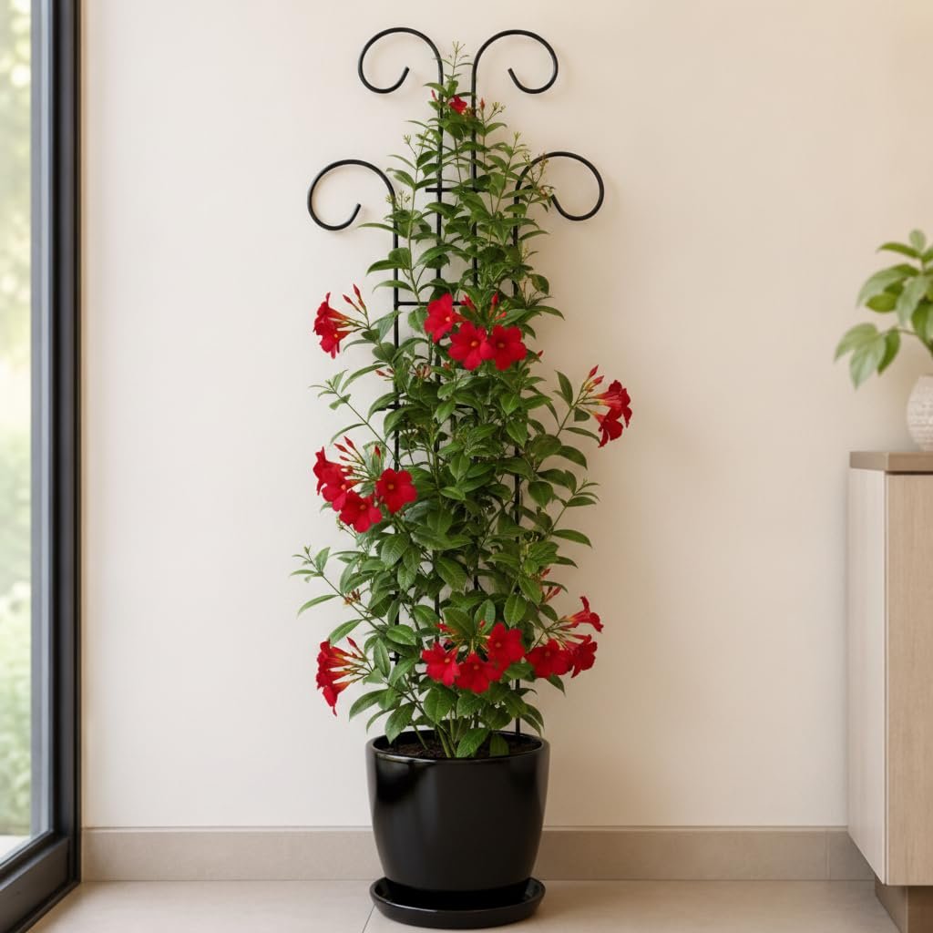 32 inch Metal Climber Plant Support Stand | Garden Trellis for Indoor & Outdoor Plants | Decorative Plant Support for Balcony, Home, Office & Living Room Décor - Black (Extra Large) - Image 7