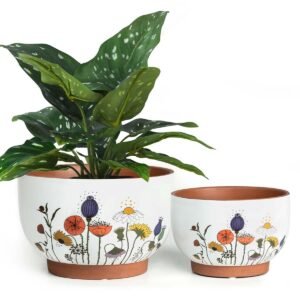 Terracotta Pots, 8+6 Inch Plant Pots, 2 Pcs with Drainage Holes