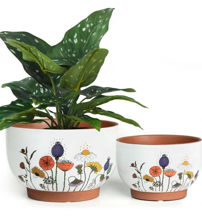 Terracotta Pots, 8+6 Inch Plant Pots, 2 Pcs with Drainage Holes