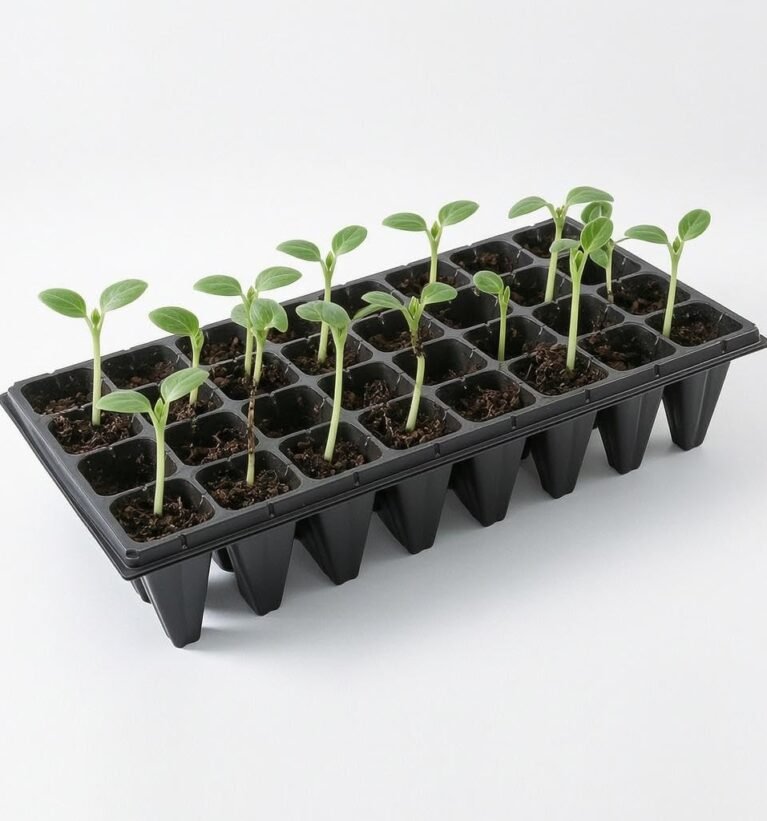Large 72-Cell Seedling Starter Trays for Vegetable and Wheat Sprouts Extra Deep