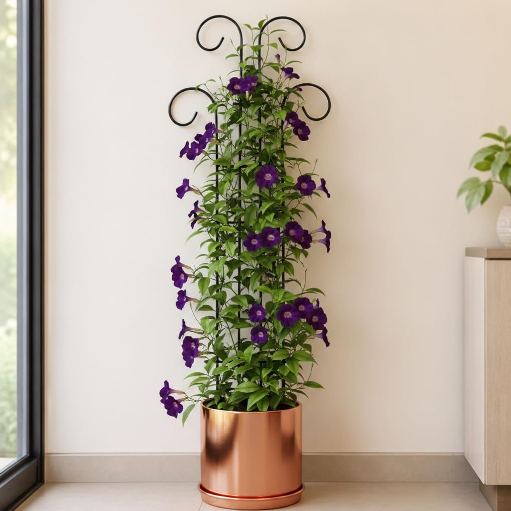 32 inch Metal Climber Plant Support Stand | Garden Trellis for Indoor & Outdoor Plants | Decorative Plant Support for Balcony, Home, Office & Living Room Décor - Black (Extra Large) - Image 4