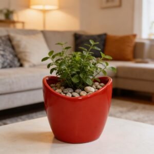 outdoors TT-64 Trendy Oval Ceramic Pot for Succulents/Cactus/Herbs for Office/Home Size: H. 10cm X Base Dia. 7.5cm X Top 10 cm X 10 CM (Red)