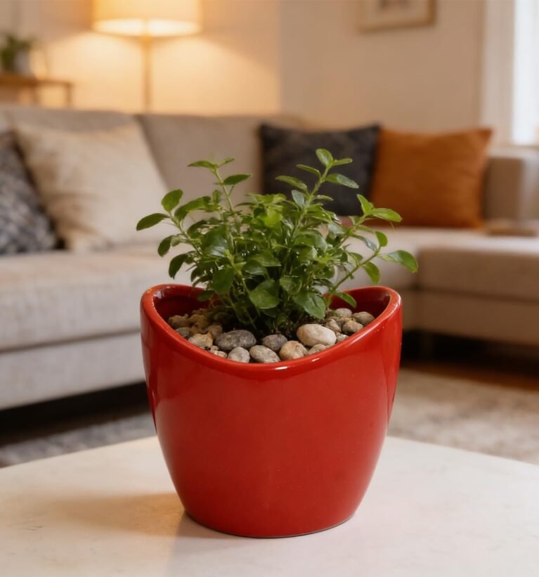 outdoors TT-64 Trendy Oval Ceramic Pot for Succulents/Cactus/Herbs for Office/Home Size: H. 10cm X Base Dia. 7.5cm X Top 10 cm X 10 CM (Red)