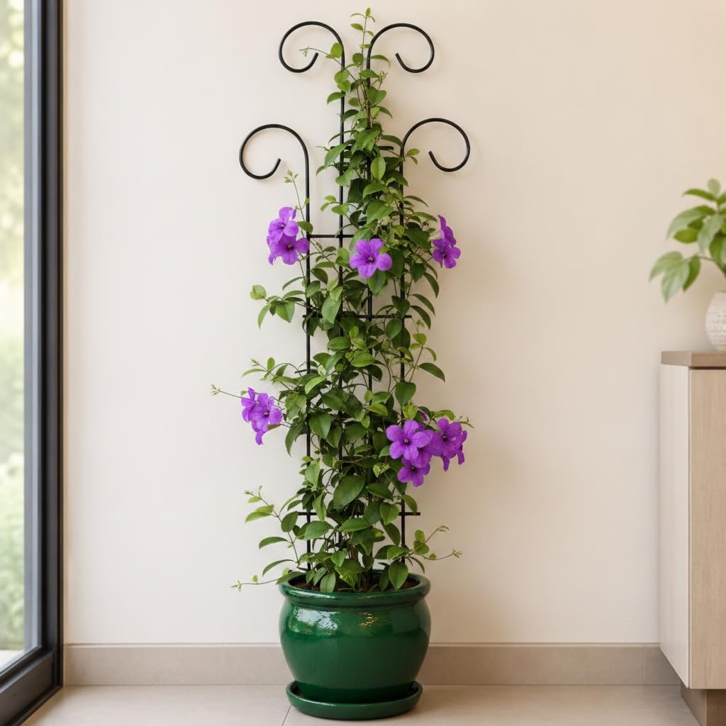 32 inch Metal Climber Plant Support Stand | Garden Trellis for Indoor & Outdoor Plants | Decorative Plant Support for Balcony, Home, Office & Living Room Décor - Black (Extra Large) - Image 6