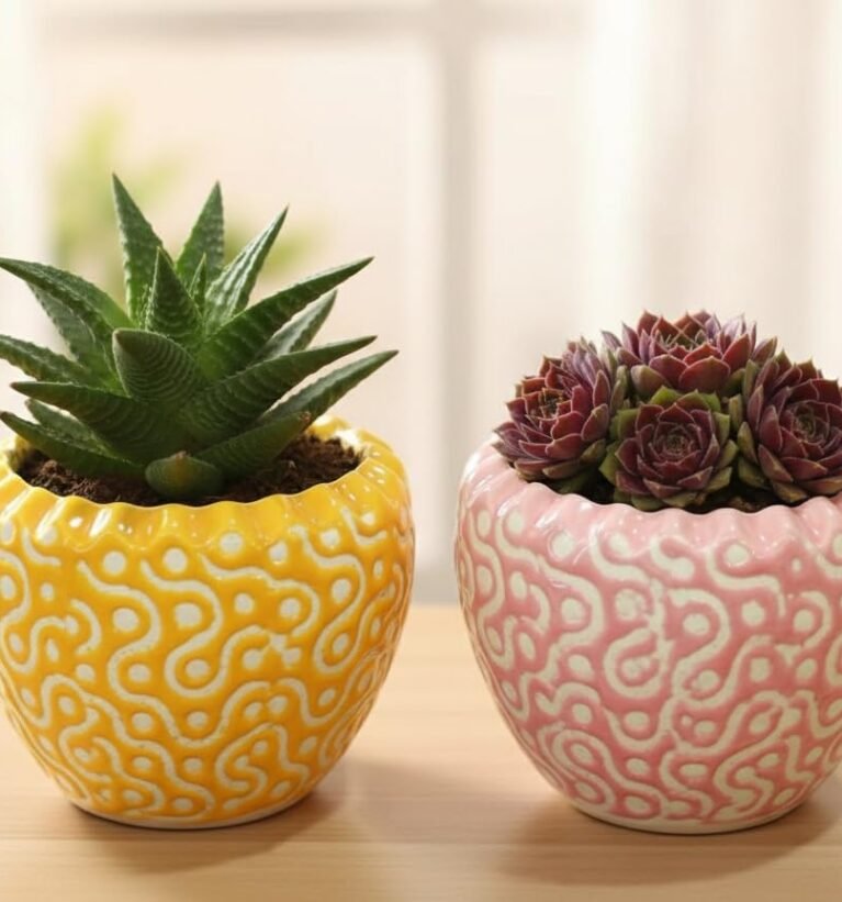 Ceramic Plant Pot Flower Pot Planter Indoor Outdoor Round Shape (Round Plant Pot Pack of 2)