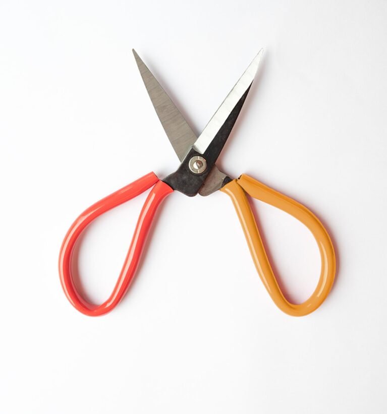 Straight Blade Cutter- D Handle (Garden Scissors) | Garden Plants Leaf & Flower Cutting Trimming Scissor