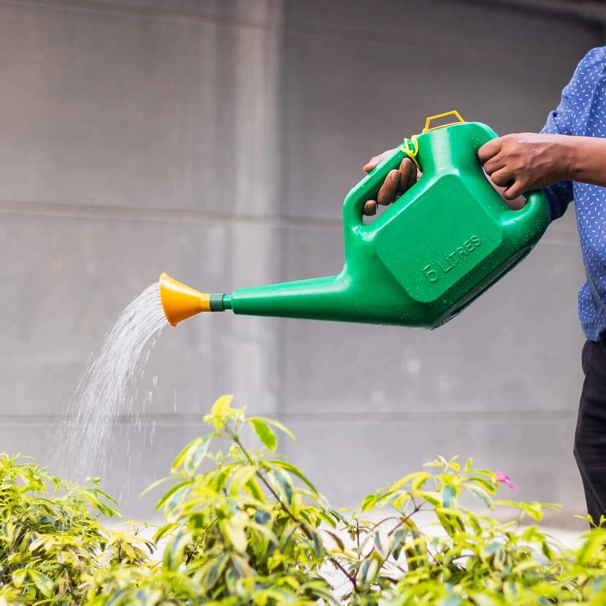Plastic Watering Can for Plants (with Strong Copper Sparyer) (5 Litre)