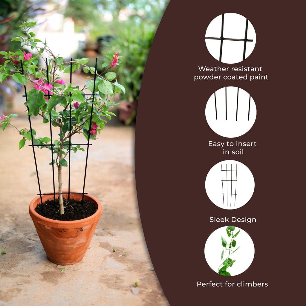 Metal Plant Trellis for Climbing Plants (Set of 3) | Plant Support for Climbers | Indoor/Outdoor | for Balcony, Living Room Decor - Image 4