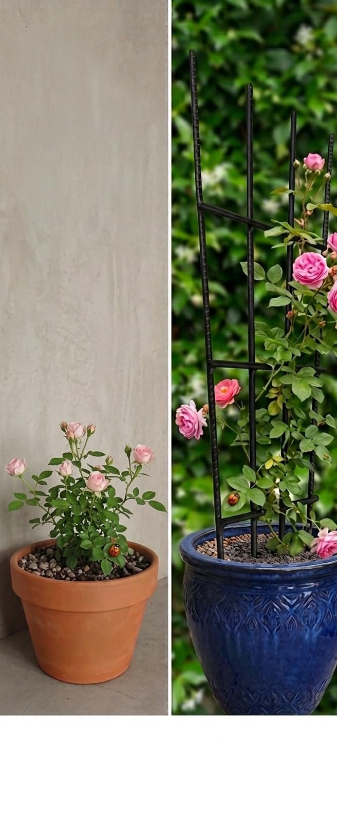 Plant Trellis - Durable Support for Climbing Plants, Vines, and Creepers, Ideal for Indoor and Outdoor Gardening Use (5) - Image 3