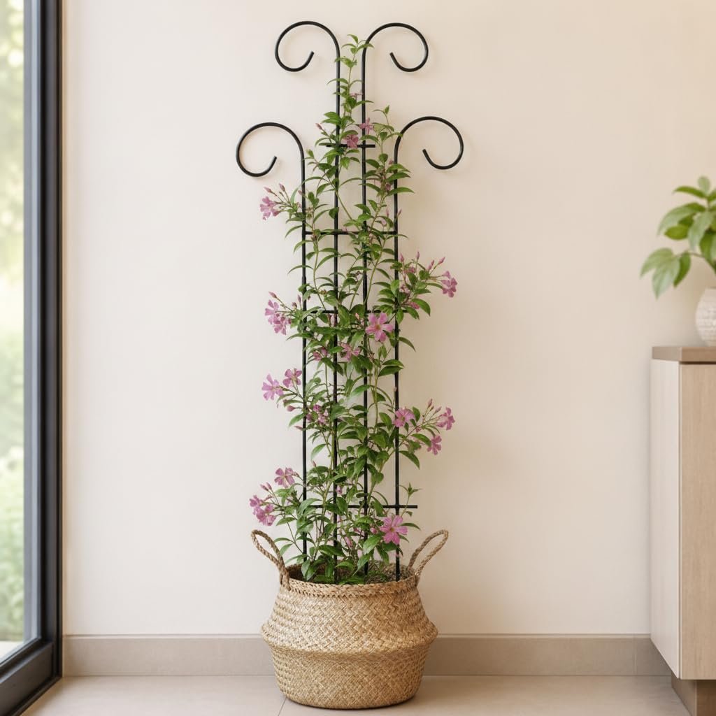 32 inch Metal Climber Plant Support Stand | Garden Trellis for Indoor & Outdoor Plants | Decorative Plant Support for Balcony, Home, Office & Living Room Décor - Black (Extra Large) - Image 3