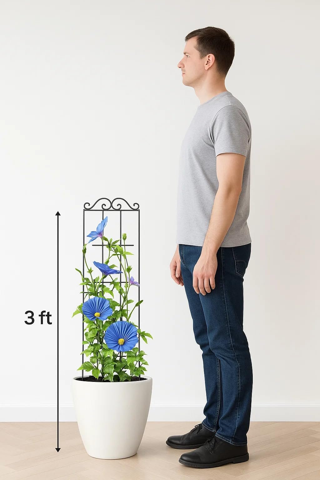 30'' Metal Garden Trellis for Climbing Plants,(Pack of 2) Indoor/Outdoor Sturdy Plant Trellis for Potted Plants,House Plants, Climbing Vines, Black (2) - Image 8