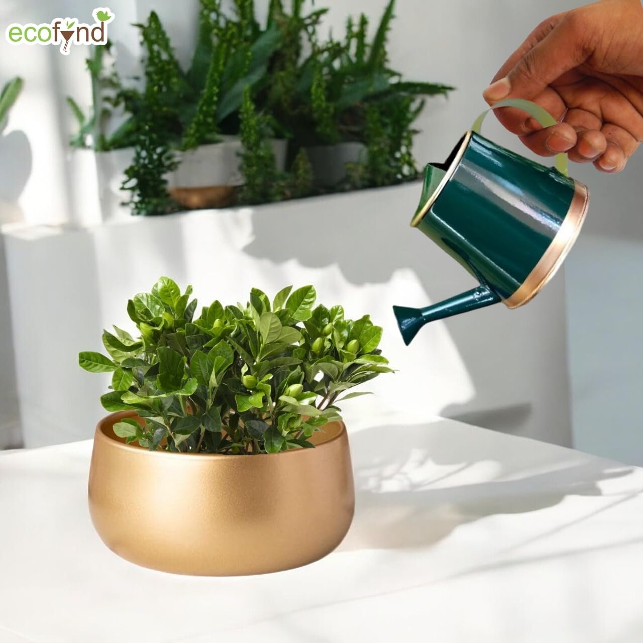 250 ml Mini Garden Watering Can for Plants for Kids (WC6: Kids with Gold Border, Green) - Image 4