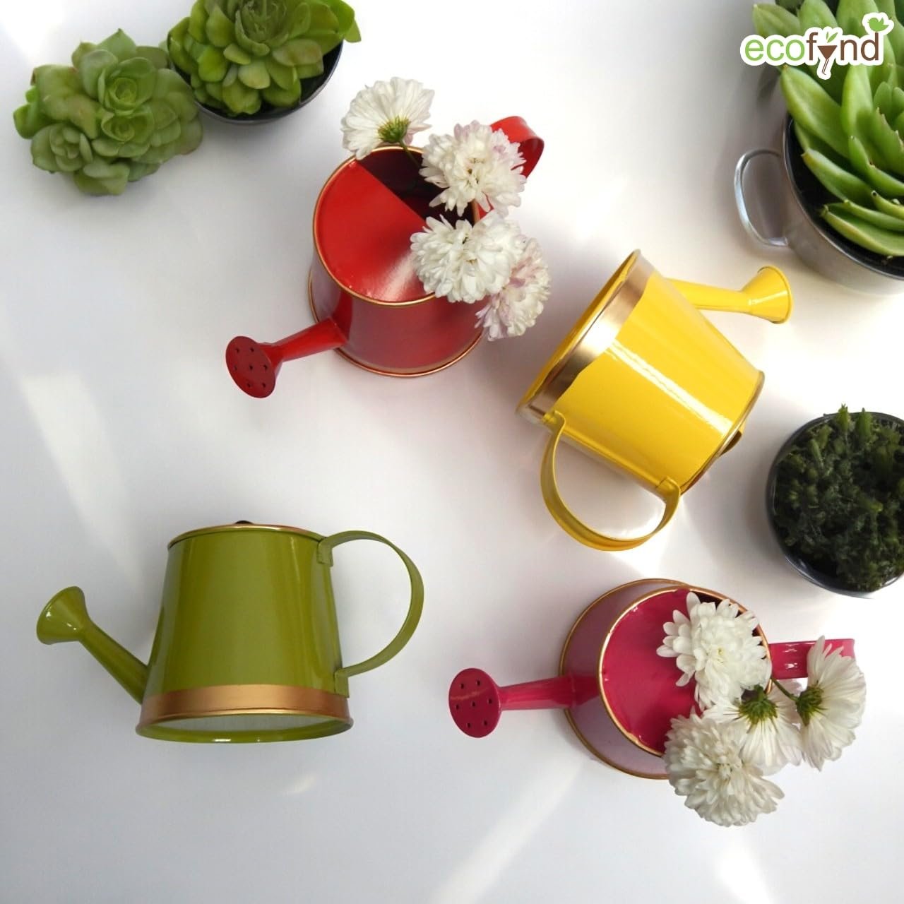 250 ml Mini Garden Watering Can for Plants for Kids (WC6: Kids with Gold Border, Green) - Image 6