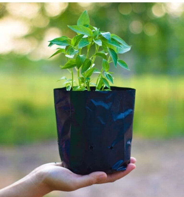 GrowBest Plastic Nursery Bags Plastic Poly Grow Bag Plant Bag Black UV Protected (5" x 7", 300)