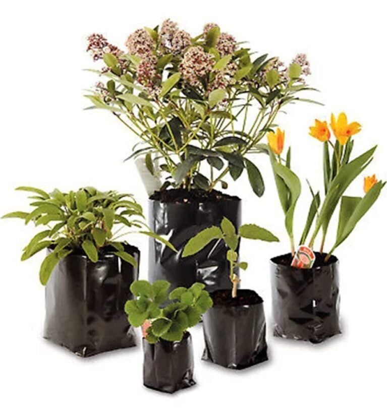 Plant Nursery Bags Black Color uv Protected Grow Nursery Bag Agriculture Nursery Bags (5 x 7, 1000)
