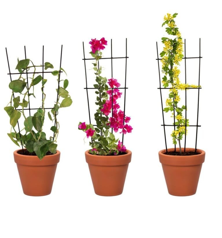 Metal Plant Trellis for Climbing Plants (Set of 3) | Plant Support for Climbers | Indoor/Outdoor | for Balcony, Living Room Decor