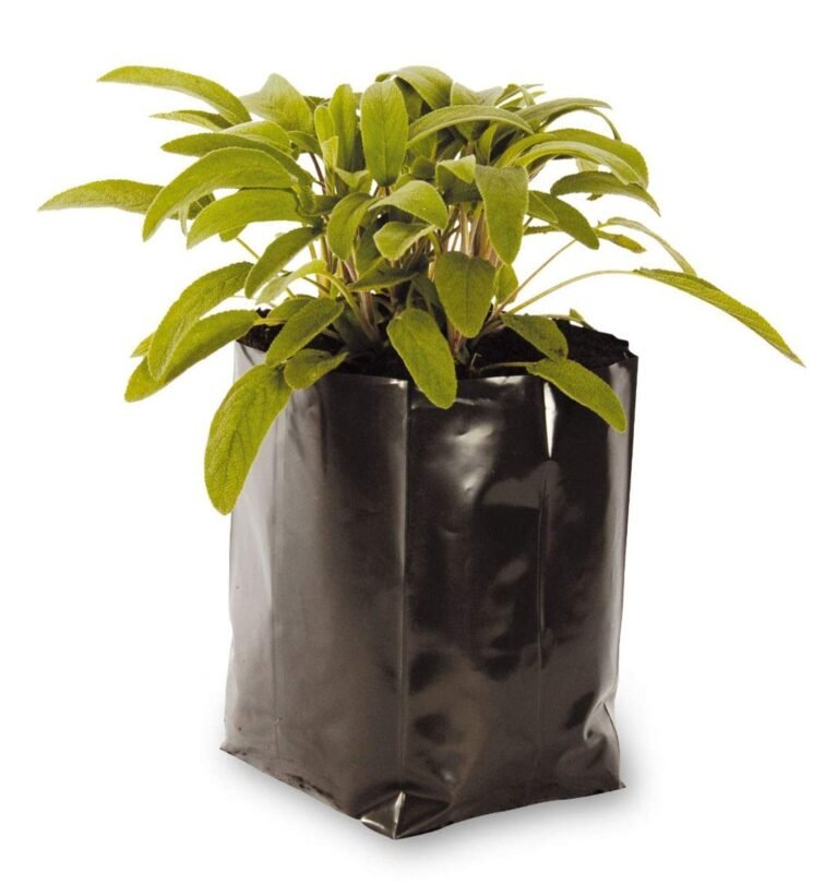 India Plastic Grow Bags, for Garden & Gardening, Green Leafy Vegetable, Nursery, Use at Home, Terrace, Kitchen, Rooftop, Support Plant, & Saplings, Flat, Pack of 25, Black