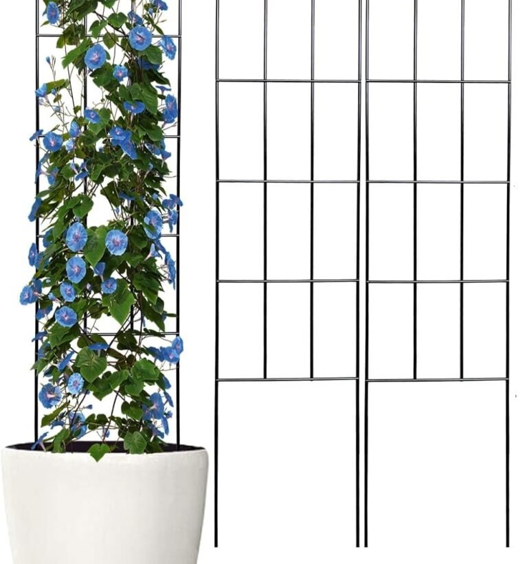 30'' Metal Garden Trellis for Climbing Plants,(Pack of 2) Indoor/Outdoor Sturdy Plant Trellis for Potted Plants,House Plants, Climbing Vines, Black (2)