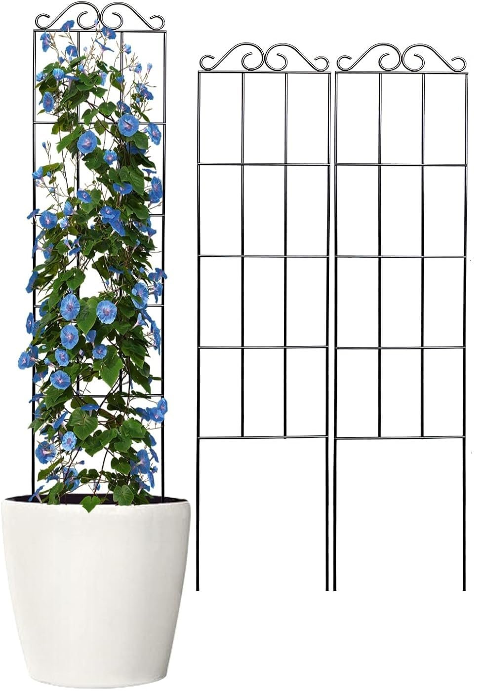 30'' Metal Garden Trellis for Climbing Plants,(Pack of 2) Indoor/Outdoor Sturdy Plant Trellis for Potted Plants,House Plants, Climbing Vines, Black (2)