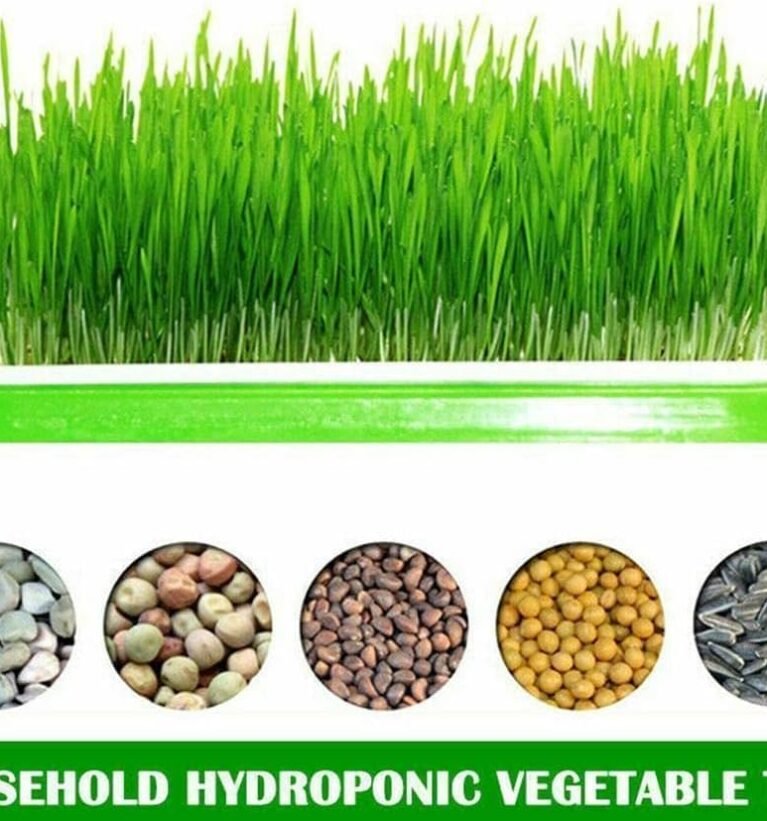 Spout Maker Tray Seedling Planting Tray Seedling Starter Organizer for Greenhouse/Garden/Home Draining Tray (1Pcs)