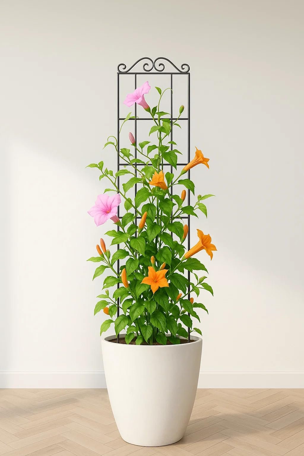 30'' Metal Garden Trellis for Climbing Plants,(Pack of 2) Indoor/Outdoor Sturdy Plant Trellis for Potted Plants,House Plants, Climbing Vines, Black (2) - Image 9