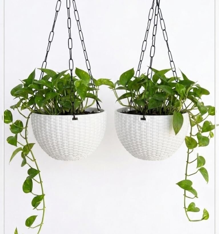 Hooked Plastic Hanging Planter with Metal Chain, 7.1 Inch Rattan Style Hanging Flower Pot for Balcony, Garden & Home Décor, UV-Stabilized BPA-Free (Set of 2, Pink) (White)