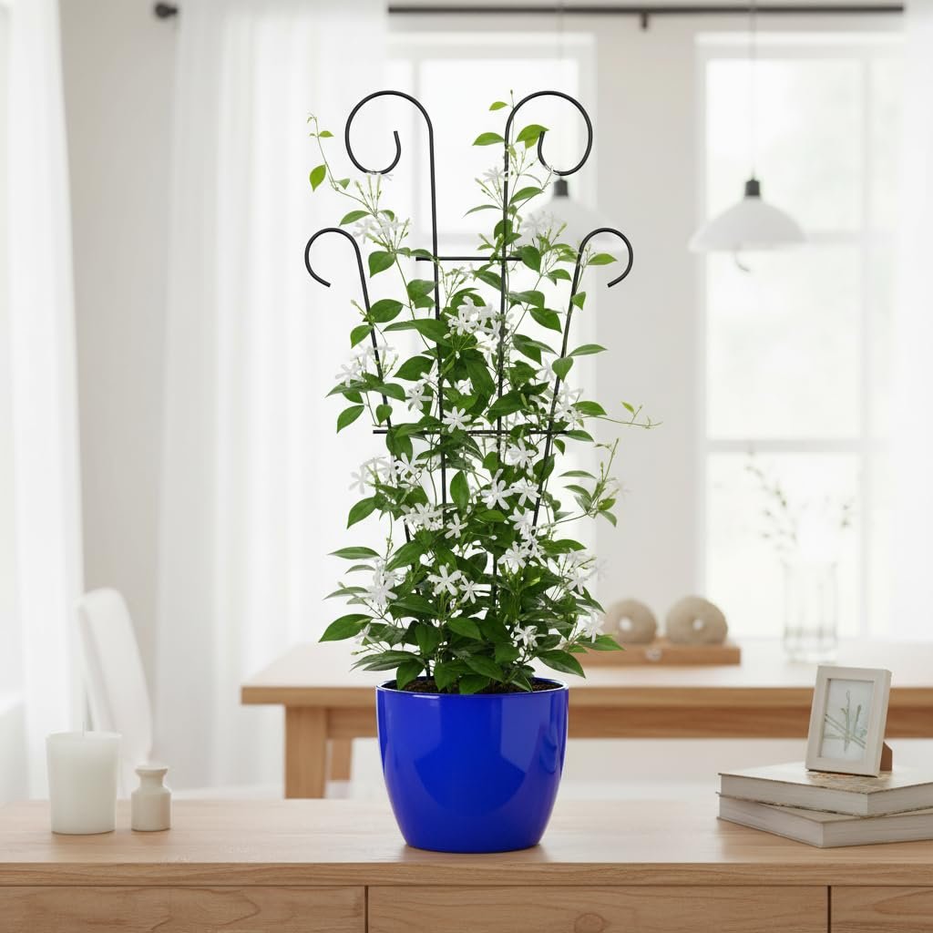 16 Inch Metal Climber Plant Support Stand | Garden Trellis for Indoor & Outdoor Plants | Decorative Plant Support for Balcony, Home, Office & Living Room Décor - Black (Small) - Image 6