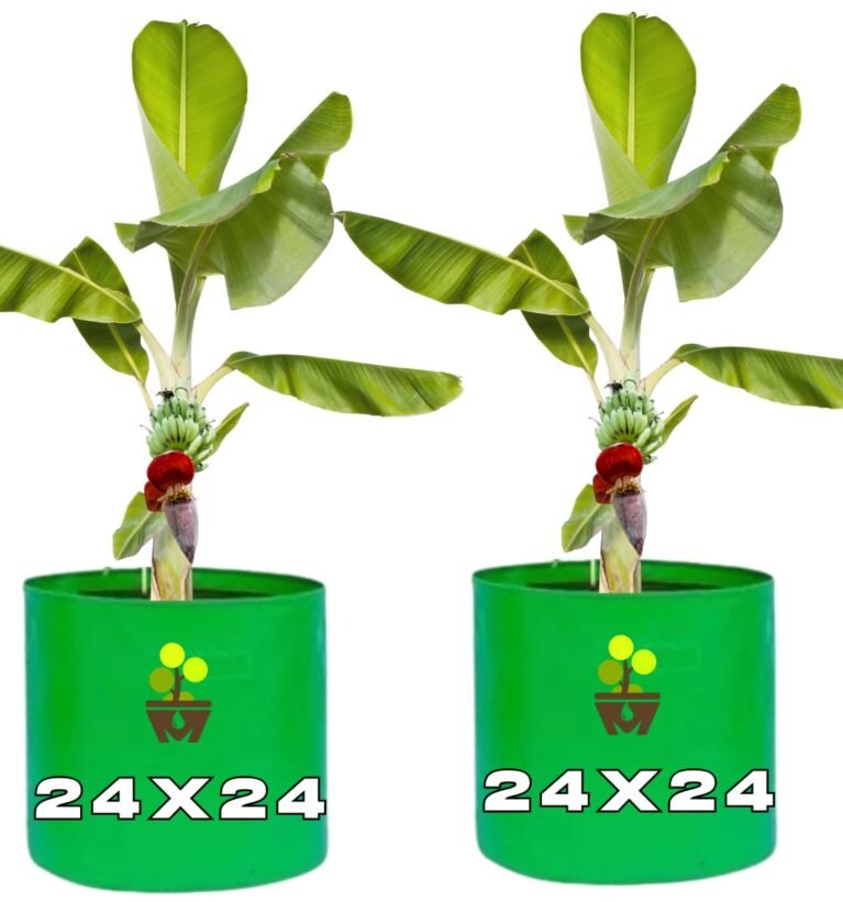 HDPE Grow Bags for Home, Terrace & Balcony Gardening – Big Size Vegetable Plant Grow Bags (15x15, 18"x18" & 24"x24" – Heavy Duty, UV Stabilized) (2, 24x24 Inches)