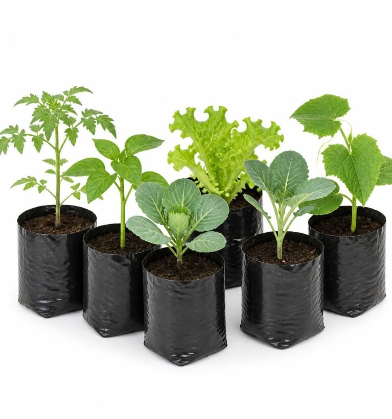 Alagundagi HDPE Nursery Bags 4 x 6 Inches Pack of 100 | Black Plant Grow Bags | UV Stabilized Heavy Duty Poly Bags for Seedlings, Saplings, Nursery, Horticulture, Agriculture & Gardening