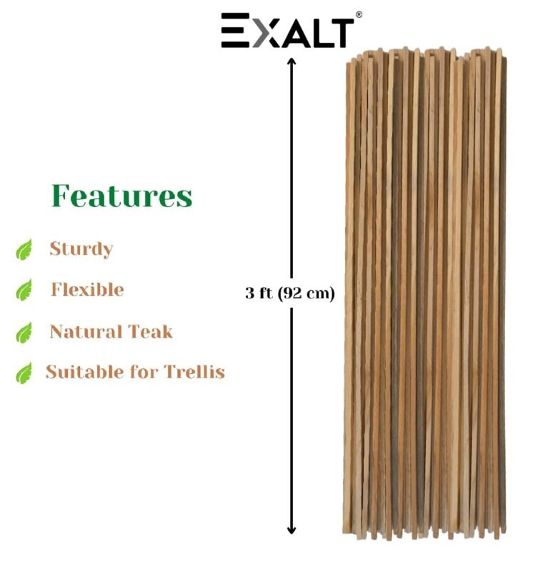 ® 3 feet Premium Natural Teak Wood Plant Support Sticks - Garden Sticks for Straightening Training and Supporting Plants - Strong and Durable Solution for Healthy Growth (12 pcs)