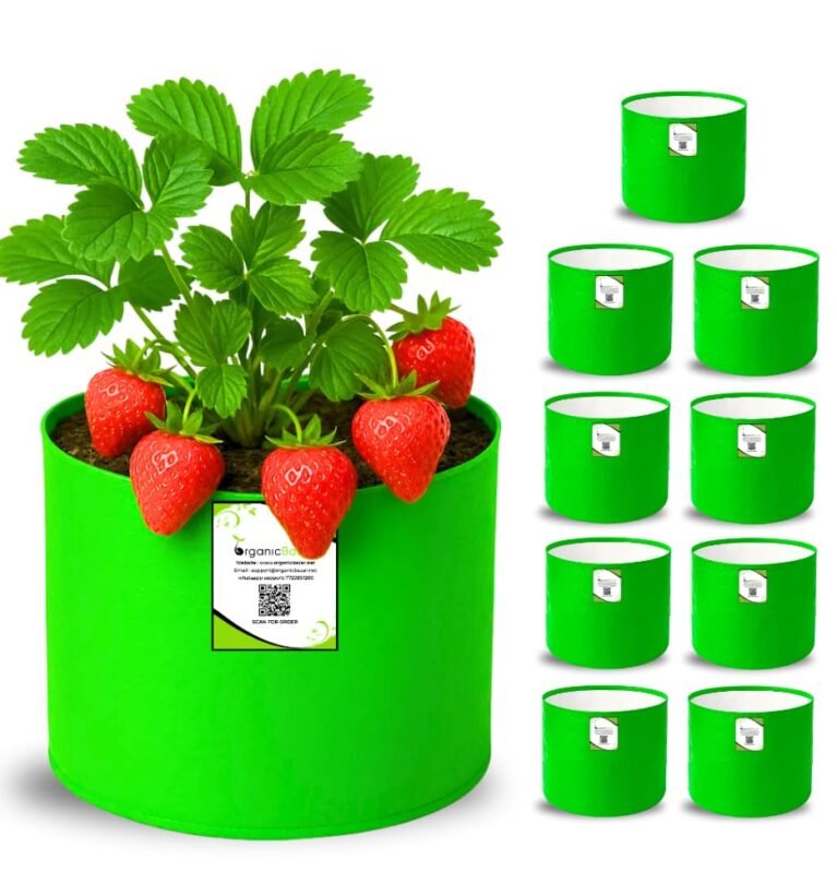 6X6 Small Size Nursery Grow Bag for Terrace Garden | Premium HDPE 260 GSM Green Plant Bag (Pack of 10)