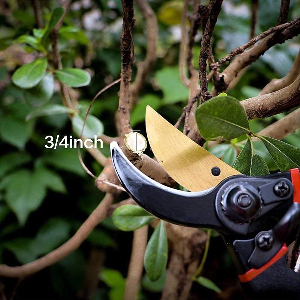 8 Inch Heavy Duty Bypass Plant Cutter for Garden, Pruners for Plants Cutting Gardening Scissors with Safety Lock, Pruning Shears for Indoor Outdoor Plants, Flower, Herb, Stem, Branch (Black) - Image 4