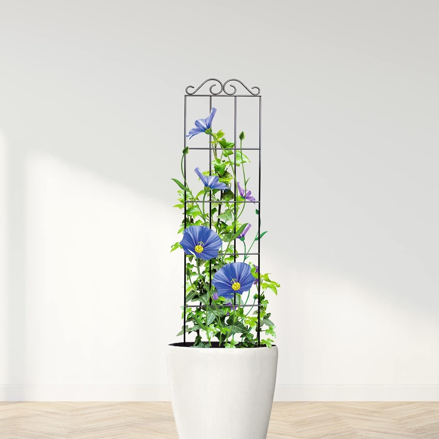 30'' Metal Garden Trellis for Climbing Plants,(Pack of 2) Indoor/Outdoor Sturdy Plant Trellis for Potted Plants,House Plants, Climbing Vines, Black (2) - Image 5