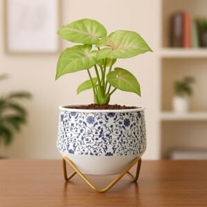 Caramel Mini Metal Planter | Trending Pots | Unique Designer Flower Vase (Blue Pottery)