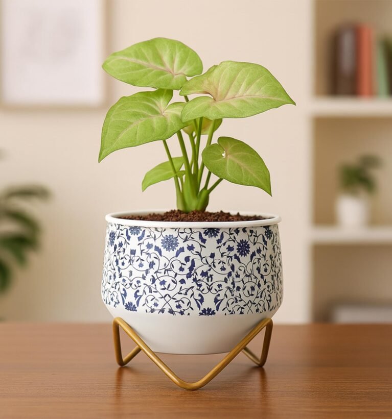 Caramel Mini Metal Planter | Trending Pots | Unique Designer Flower Vase (Blue Pottery)
