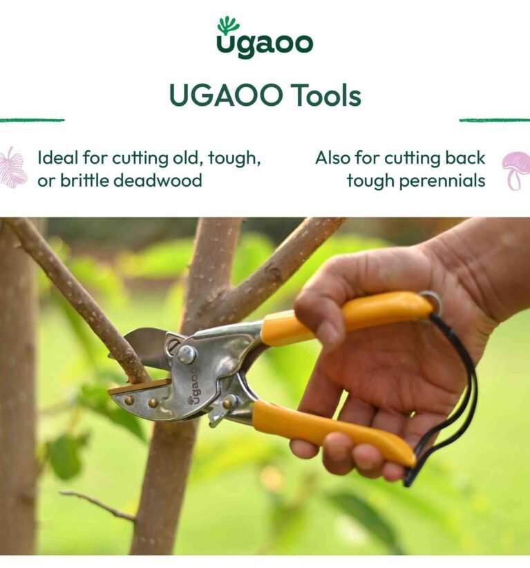 Heavy Duty Anvil Pruner Cutter for Garden, Plant Cutter for Garden with Sharp Alloy Steel Blade, Tree Cutter, Branch Cutter, Garden Scissors for Plants, Pruning Cutter with Safety Lock