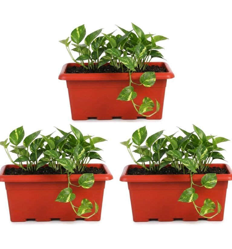  17 Inch Rectangular Planter, Set of 3|UV Resistant Plastic Flower Pot for Balcony Railing, Window Sill & Terrace Garden | Rectangular Indoor & Outdoor Plant Pot, Terra Red