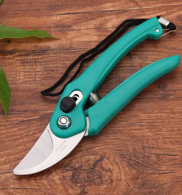 Hand Pruner with Steel Blade, Non-Slip Ergonomic Handle, Assorted