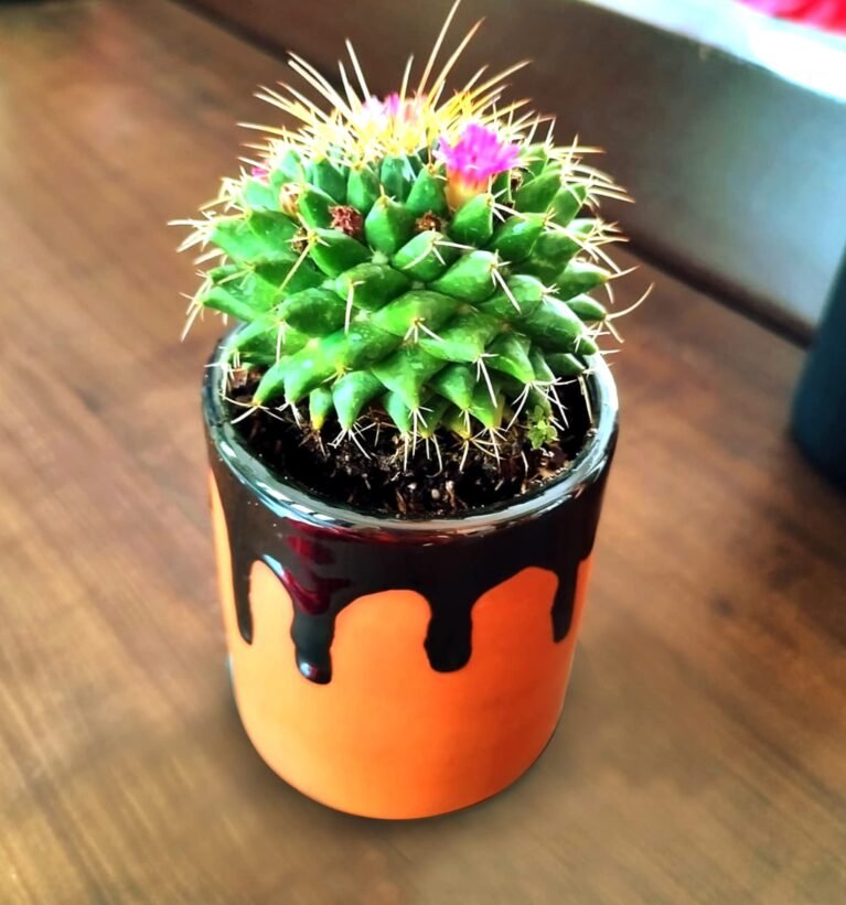 Small Terracotta Clay Pot - (Pack of 1) for Table Top/Home Decor - Outdoor/Indoor Succulent Planter (Plants not Included) | Ceramic Pot - (9x8x8 Cm)