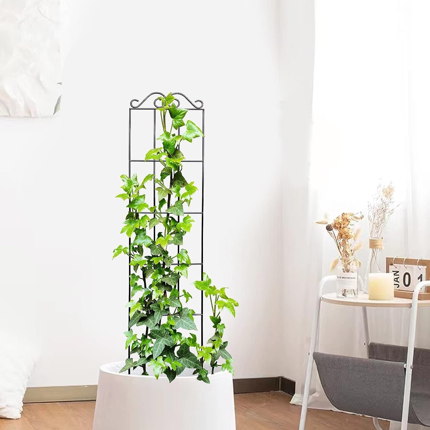 30'' Metal Garden Trellis for Climbing Plants,(Pack of 2) Indoor/Outdoor Sturdy Plant Trellis for Potted Plants,House Plants, Climbing Vines, Black (2) - Image 2