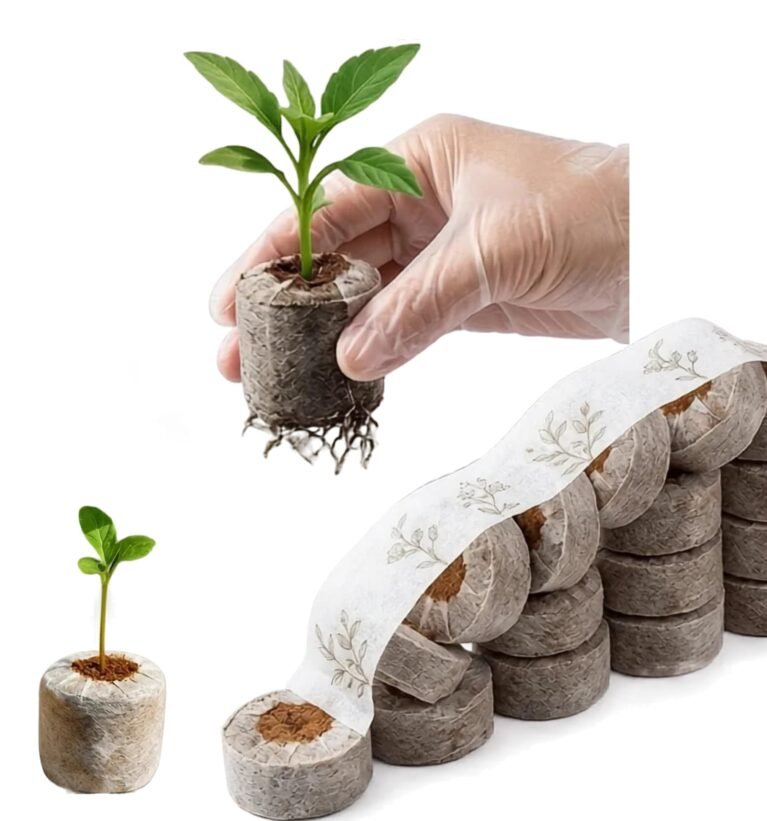 Seed Germination Kit with Cocopeat Disc | 100% Organic Alternate for Seedling Trays for Plants | 30mm Diameter (Pack of 40)