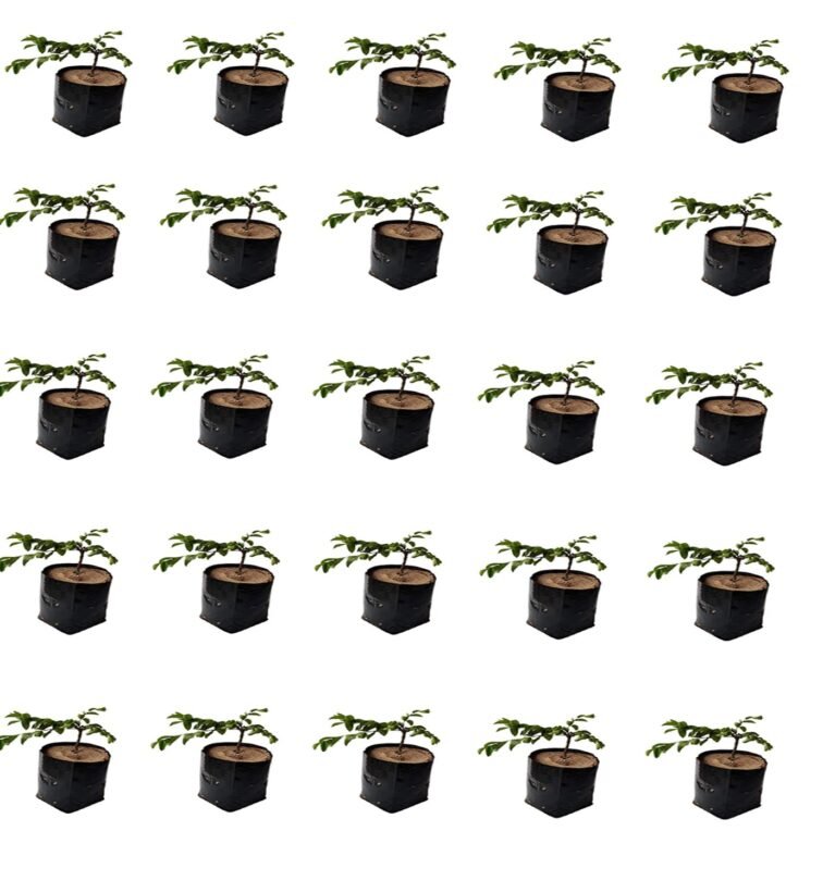 Grow Bags for Home Garden | LDPE UV Resistant Poly Grow Bags for Terrace Gardening | Nursery Bags for Vegetable and Flowering Plants | Black Coloured 10X12 Inch Plant Bags -25 Pieces